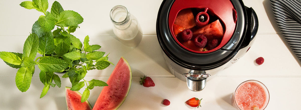 Accessoires pour extracteur de jus Magimix